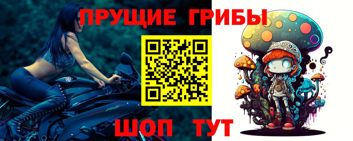 Псилоцибиновые грибы ЛСД  Галлюциногенные грибы Magic Shrooms  Кострома  Вход с VPN 